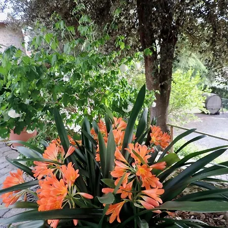 Popoltaio-schiacciato Sleeps 2 Pool Air Con * Ravigliano
